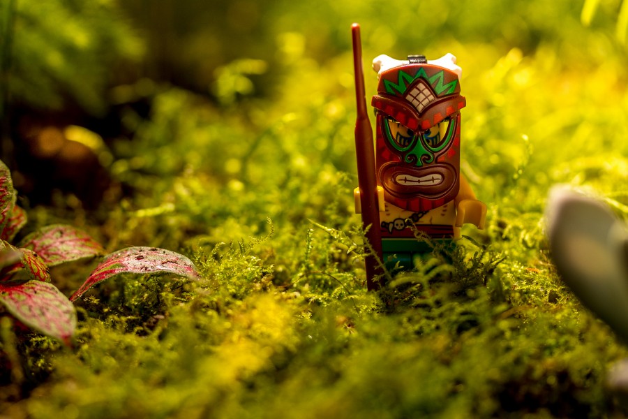 Um herói na floresta